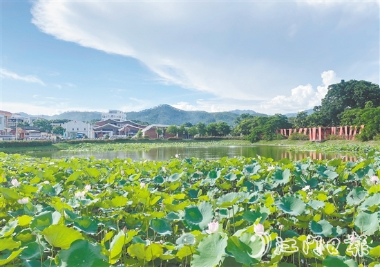 都斛鎮(zhèn)大綱村圍繞產(chǎn)業(yè)發(fā)展、人居環(huán)境、鄉(xiāng)村治理三大重點領(lǐng)域持續(xù)發(fā)力，打造成為區(qū)域鄉(xiāng)村振興的示范樣板。