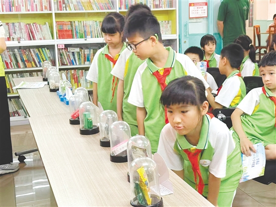 學(xué)生們有序參觀毒品仿真模型。
