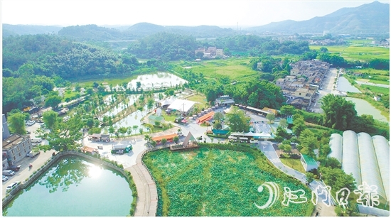 臺城街道依托“百千萬工程”，立足生態(tài)休閑旅游定位，推動桂水村農文旅商融合發(fā)展，培育壯大“賞花經(jīng)濟”和農村集體經(jīng)濟。