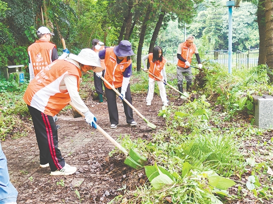 東湖公園管理所工作人員對園內(nèi)蚊蠅孳生地進(jìn)行清理。