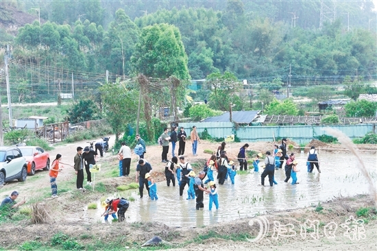 龍眠村把田間地頭打造成實(shí)踐研學(xué)地，探索發(fā)展農(nóng)文旅產(chǎn)業(yè)。