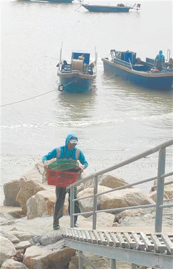 等到漁船靠岸，你可以在漁民處買到各種新鮮海鮮。