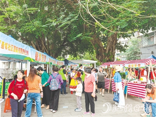 社區(qū)社會企業(yè)將利潤按比例反哺社區(qū)公益,形成“服務(wù)—收益—反哺”的良性循環(huán)。圖為蓬江區(qū)善鄰社區(qū)服務(wù)有限公司在象山社區(qū)開展銀發(fā)經(jīng)濟集市活動。