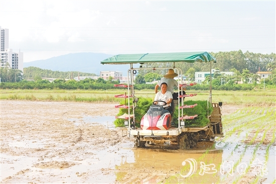 月山鎮(zhèn)因地制宜積極探索撂荒地復(fù)耕新路子。