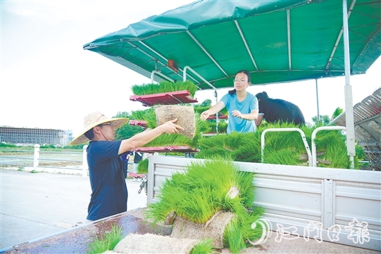 月山鎮(zhèn)的電力有保障，農(nóng)戶規(guī)?；N糧的底氣更足了。