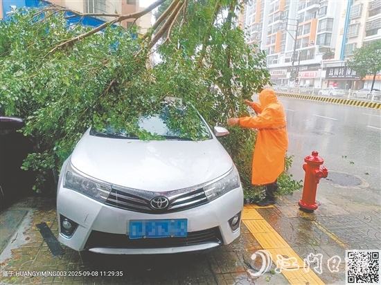 平安產(chǎn)險(xiǎn)查勘員在巡查中看到一輛汽車被倒下的大樹壓住，馬上聯(lián)系車主并協(xié)助清理。