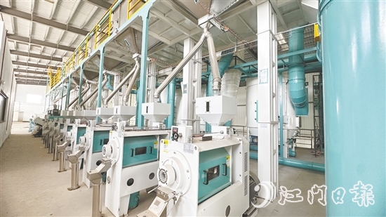 赤水鎮(zhèn)水仔口健康食品產(chǎn)業(yè)園吸引多家優(yōu)質(zhì)企業(yè)入駐。圖為金籮米業(yè)的絲苗米優(yōu)勢特色產(chǎn)業(yè)集群項目，目前進(jìn)入設(shè)備調(diào)試階段。