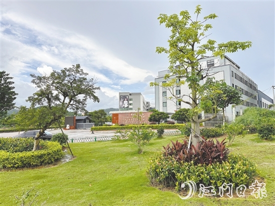 口袋公園不僅為社區(qū)拓展了綠色空間，更成了居民茶余飯后的休閑新去處。