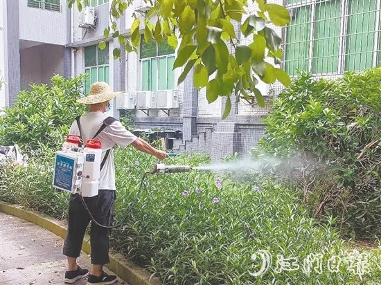 臺(tái)山發(fā)動(dòng)全市力量，從環(huán)境整治、科學(xué)消殺到宣傳教育，開展一場(chǎng)全域動(dòng)員、全民參與的防蚊滅蚊攻堅(jiān)戰(zhàn)。