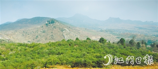 利奧集團(tuán)經(jīng)過(guò)多番考察，尋找到合適的山地種植油茶樹。