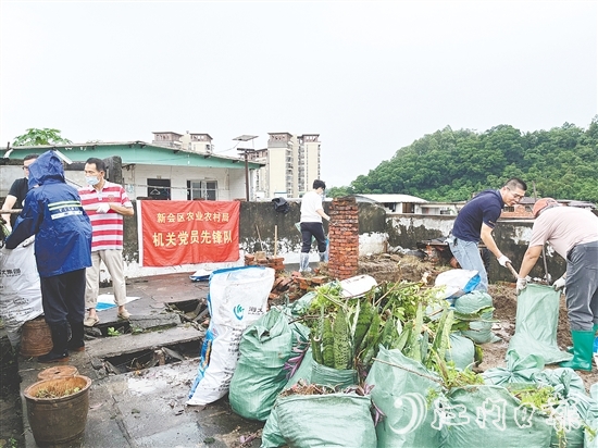 新會區(qū)黨員干部聞令而動，當(dāng)好清除蚊蟲孳生地的“急先鋒”。