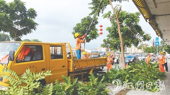 城管部門提前修剪樹木，消除隱患。