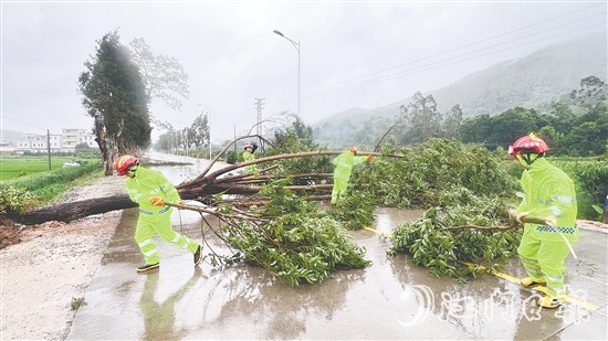 消防隊救援人員迅速清理倒伏樹木。