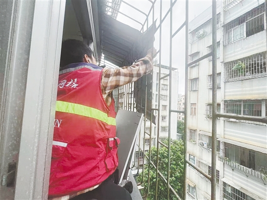 蓬江區(qū)育德社區(qū)網(wǎng)格員協(xié)助屋主及時(shí)將松動(dòng)的鐵皮擋雨板拆下，消除安全隱患。任佳燕