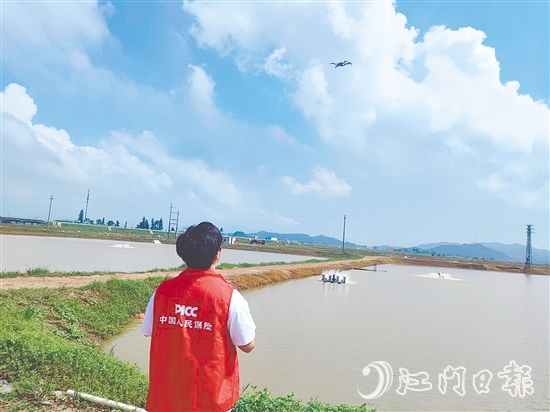 江門人保財(cái)險(xiǎn)工作人員現(xiàn)場(chǎng)開展前置性風(fēng)險(xiǎn)排查與防護(hù)指導(dǎo)。