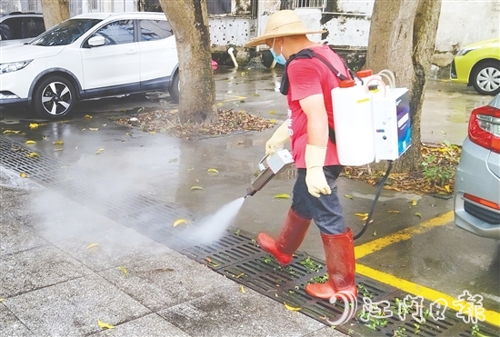 鶴山市各學(xué)校組建教師消殺志愿隊(duì)，聯(lián)合專業(yè)消殺人員對校園重點(diǎn)區(qū)域進(jìn)行精細(xì)化滅蚊作業(yè)。