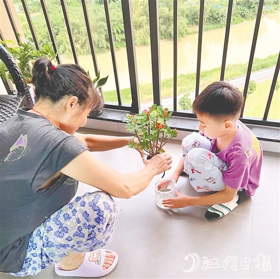 臺(tái)山學(xué)子帶動(dòng)家庭成員一起清積水、滅蚊蟲、搞衛(wèi)生。