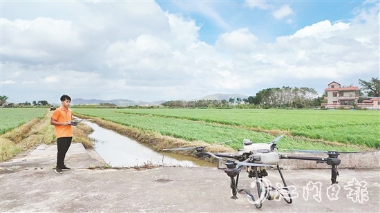 臺山組織無人機(jī)機(jī)手分赴各村，爭分奪秒推進(jìn)晚稻噴藥施肥工作。