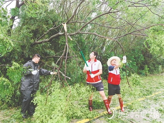 在防汛防臺風等急難險重工作中，全市超過1600個基層黨組織、10萬余人次黨員干部迅速響應、沖鋒在前。