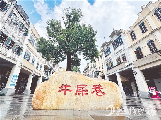 臺山的“牛屎巷”出現(xiàn)在《捕風追影》電影鏡頭中。