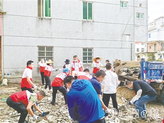 恩平市人大常委會組織各級人大代表開展滅蚊清潔行動。