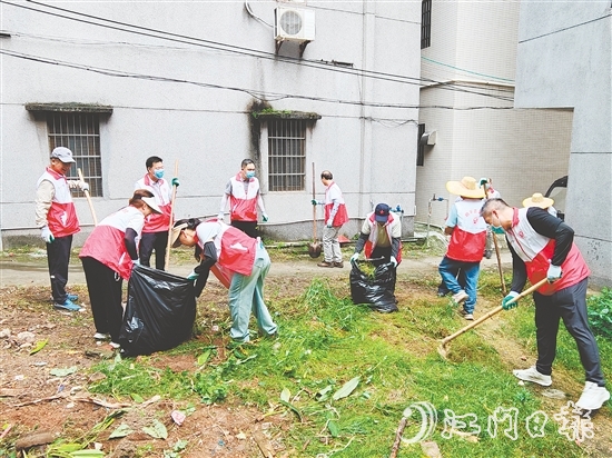 恩平市政協(xié)委員到基層參與環(huán)境整治。
