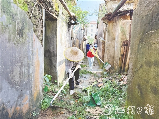 連日來，黨員干部深入恩城街道清除衛(wèi)生死角，開展防蚊滅蚊行動。