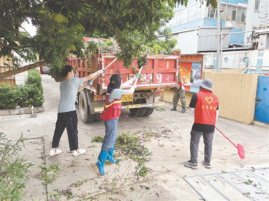 蓬江區(qū)在環(huán)市街道里村社區(qū)舊村片區(qū)開展攻堅行動。圖為環(huán)境整治組工作人員清理野生綠植。任佳燕