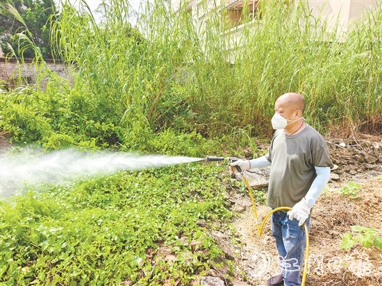 馮伙強改裝的噴霧器滅蚊效果良好，廣受村民稱贊。