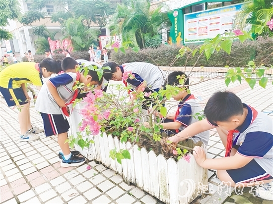 各學校組織開展校園清理行動，少先隊員們積極參與。