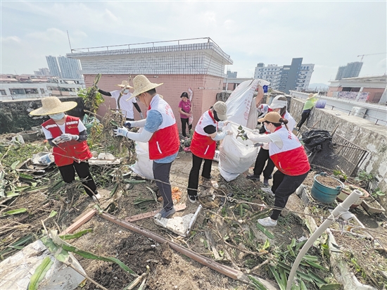 開(kāi)平市各民主黨派、工商聯(lián)等組織志愿者清理蚊媒孳生地，開(kāi)展愛(ài)國(guó)衛(wèi)生運(yùn)動(dòng)。