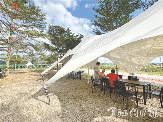 生態(tài)園新開辟的露營區(qū)。