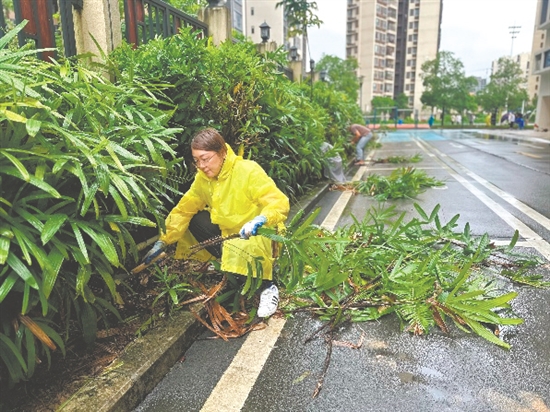 梁杏茹在清理雜草樹枝。