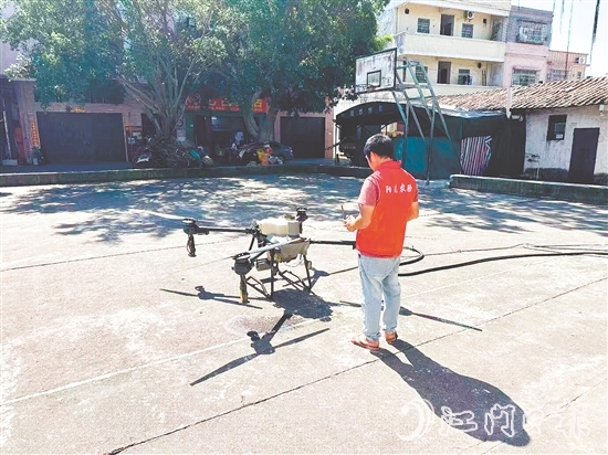 陽光農(nóng)險江門中支利用無人機，開啟“科技滅蚊”模式。