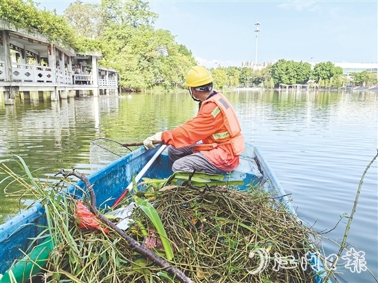 鶴山市對公園、景區(qū)開展環(huán)境治理，清理岸坡垃圾雜草和水面漂浮物。
