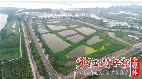 蓬江18號(hào)地實(shí)景圖。