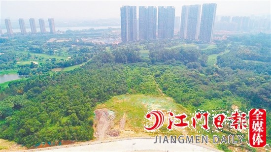 蓬江區(qū)豬乸環(huán)地段地塊實景圖。