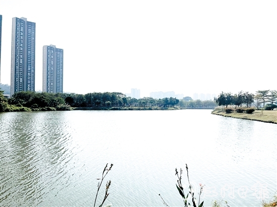 近年來，江門居住環(huán)境越來越好。