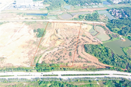 臺山市本次計劃收儲地塊涉及范圍廣。