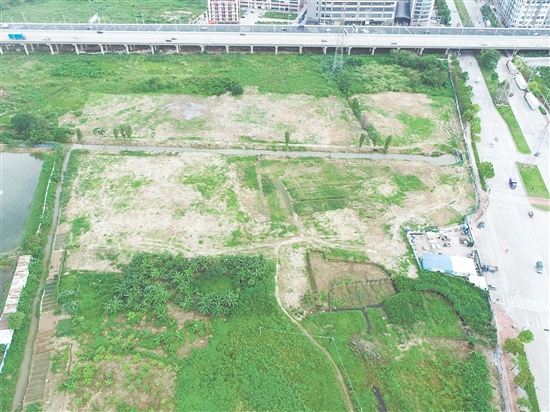 江門市JCR2025-101（江海08）號地位于江海區(qū)外海片區(qū)。