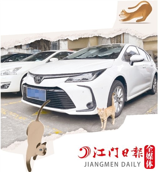 車主停車時，盡量減少停在流浪貓出沒的地方。