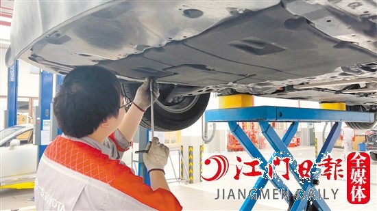 安裝底盤護板可預防貓鉆進車底。